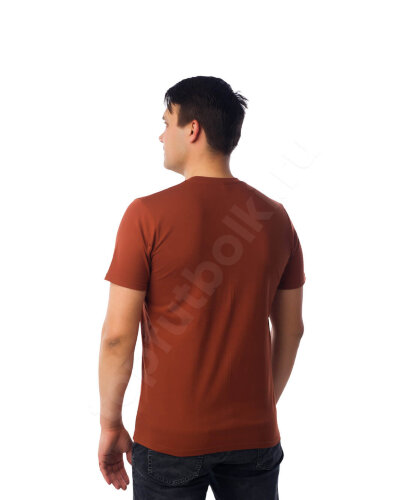 Терракотовая мужская футболка оптом - Терракотовая мужская футболка оптом